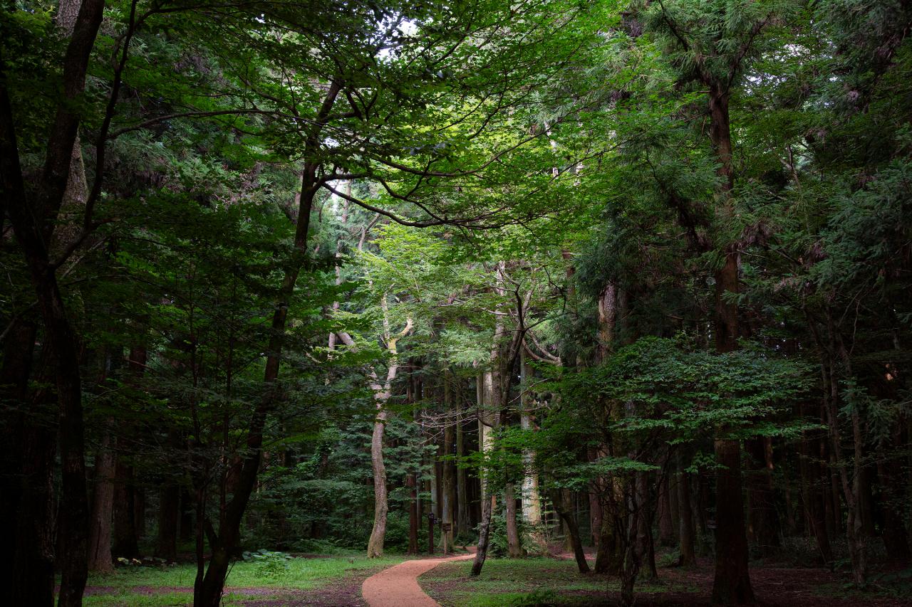 24년 사진 이미지 7