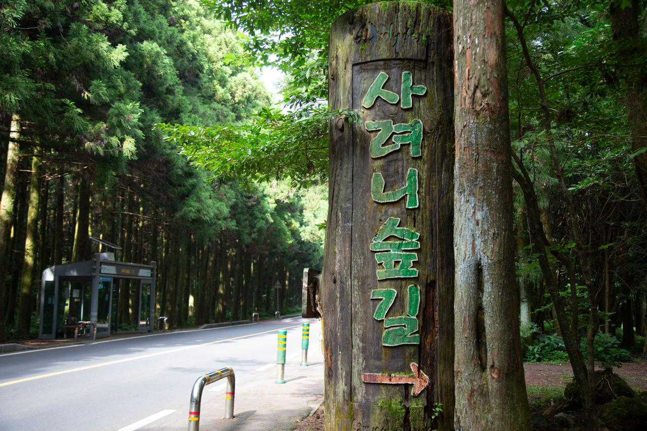 24년 사진 이미지 1